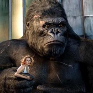 Meet your Posher, Faye